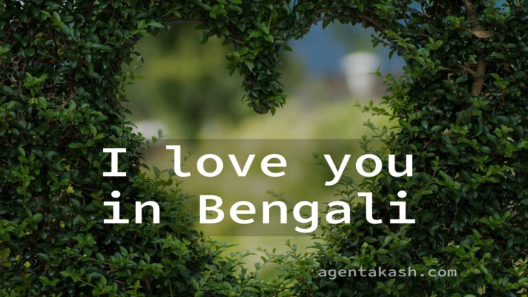 loving you was the best decision of my life meaning in bengali